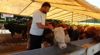  Ülke genelinde tüm hayvan pazarları kapatıldı